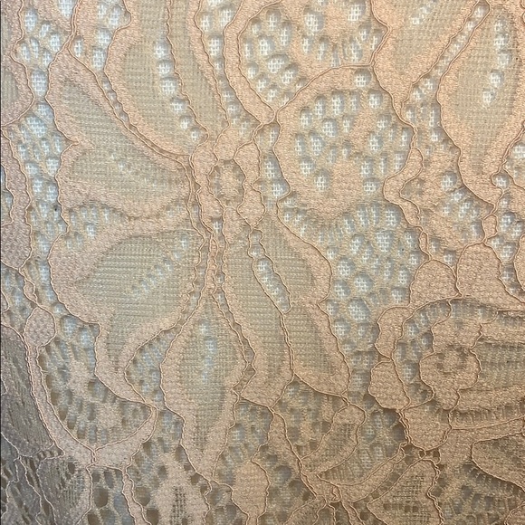 Anthropologie Pleione lace,ruffle bell sleeve top - Picture 5 of 6